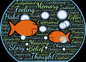 开云体育首页-法甲实际战术板使用率与胜率关系初步调查，法国套战术板